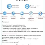 Royal Sun O 31 Royal Sun Апартамент *