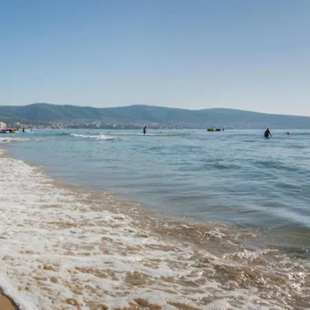 Royal Sun O 31 Royal Sun 써니비치