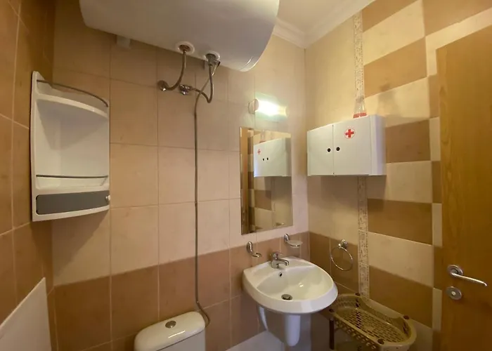 Royal Sun O 31 Royal Sun *